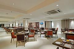 The Pride Plaza Hotel Ahmedabad - Bild 2