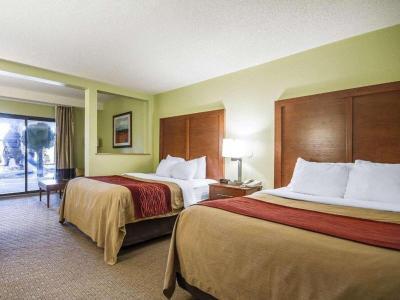 Hotel Comfort Inn & Suites Black River Falls I-94 - Bild 5