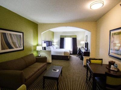 Holiday Inn Express Hotel & Suites Nacogdoches - Bild 4