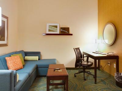 Hotel SpringHill Suites Savannah Airport - Bild 5