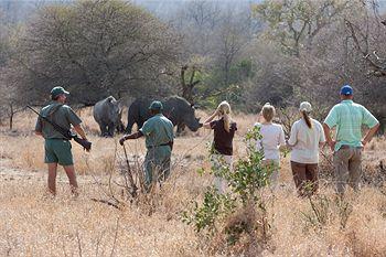 Hotel Plains Camp @ Rhino Walking Safaris - Bild 4