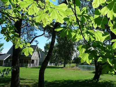 Hotel Molenheide Ferienpark - Bild 2