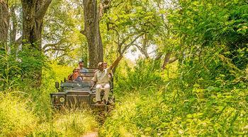 Hotel Karongwe River Lodge - Bild 3