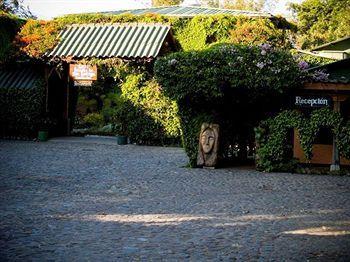 Hotel La Posada De Don Rodrigo - Bild 3