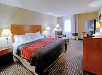 Hotel Comfort Inn & Suites Raphine - Lexington Near I-81 And I-64 - Bild 5