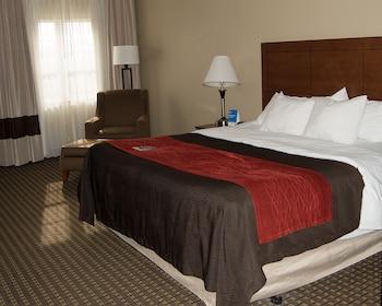 Hotel Comfort Inn & Suites Raphine - Lexington Near I-81 And I-64 - Bild 3