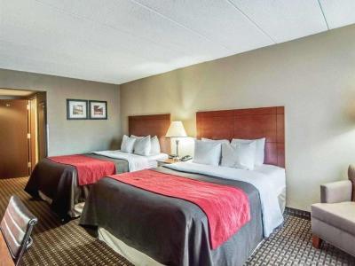 Hotel Comfort Inn & Suites Raphine - Lexington Near I-81 And I-64 - Bild 2