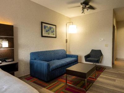 Holiday Inn Express Hotel & Suites Deer Park - Bild 4