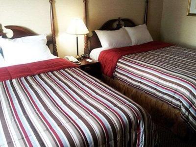 Hotel Econo Lodge City Centre Kingston - Bild 5