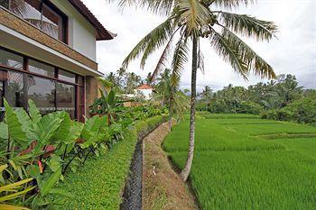 Hotel Ubud Green - Bild 3