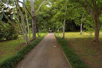 Hotel Maquenque Eco-Lodge - Bild 3