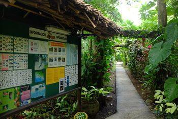 Hotel La Palapa Eco Lodge Resort - Bild 5