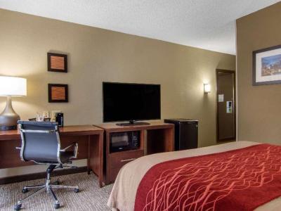 Comfort Inn Sandy Springs - Perimeter Hotel - Bild 5