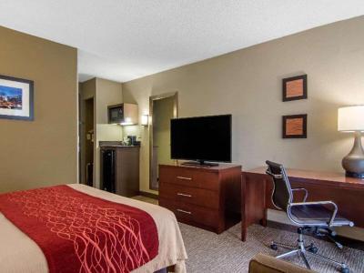 Comfort Inn Sandy Springs - Perimeter Hotel - Bild 4