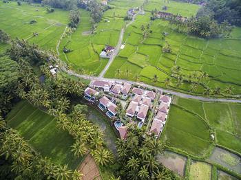 Hotel Dedary Resort Ubud - Bild 3