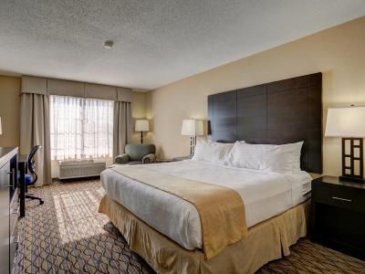 Holiday Inn Hotel & Suites Milwaukee Airport - Bild 5