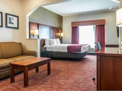 Hotel Comfort Suites Columbus - Bild 4