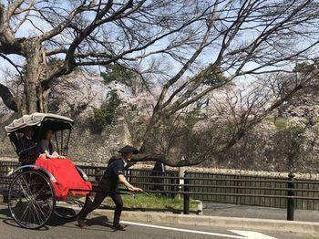 Hotel Nagoya Castle - Bild 3