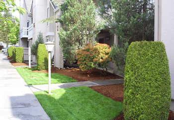 Residence Inn Seattle North/Lynnwood Everett - Bild 1