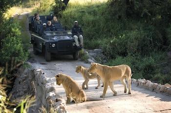 Hotel Lion Sands Narina Lodge - Bild 3