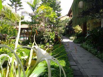 Artini Bisma Ubud Hotel - Bild 3