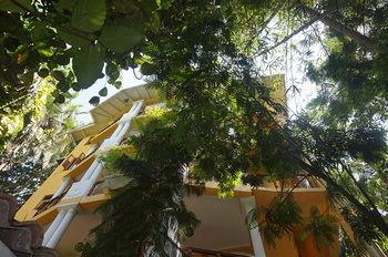 Hotel Thambapanni Retreat - Bild 3