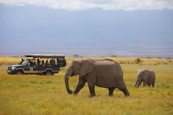 Hotel Elewana Tortilis Camp Amboseli - Bild 4