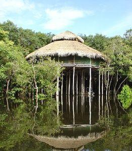 Hotel Juma Amazon Lodge - Bild 4