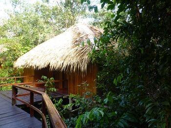Hotel Juma Amazon Lodge - Bild 3